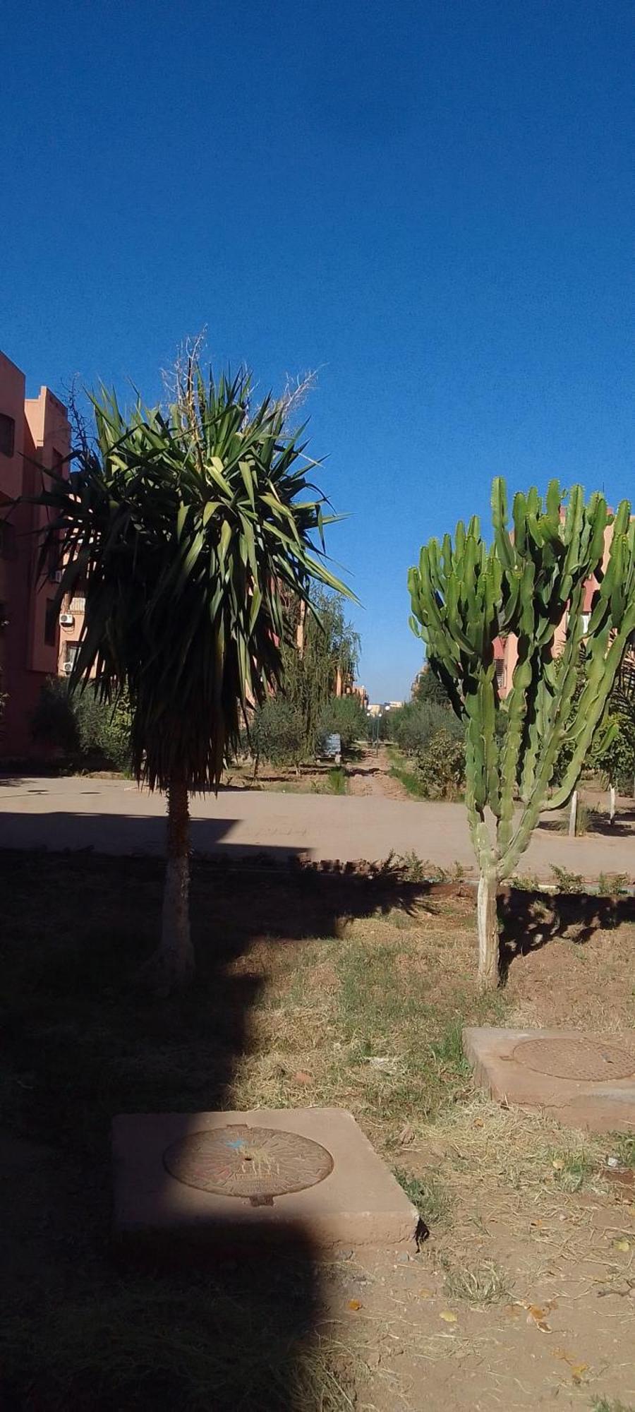 Angel Appartement Marrakesh Exterior photo