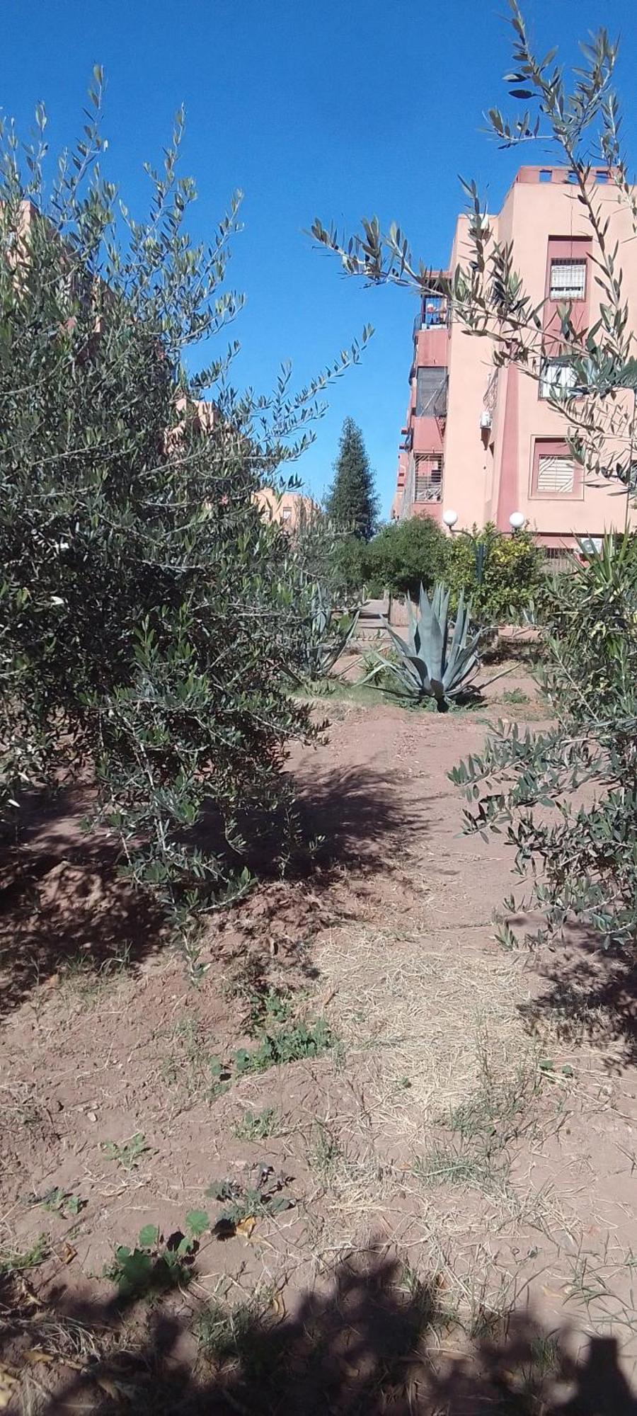 Angel Appartement Marrakesh Exterior photo